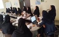 برگزاری کارگاه آموزشی «بارداری‌های نیازمند مراقبت ویژه» در شهرستان پلدشت